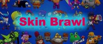 Skin Brawl